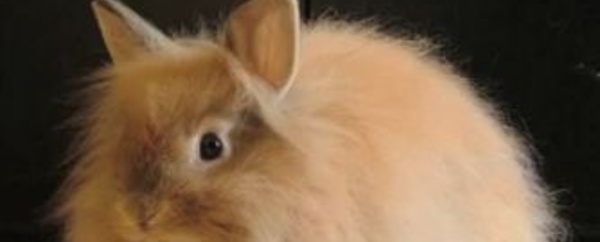 Actus à la une du 10 janvier 2014