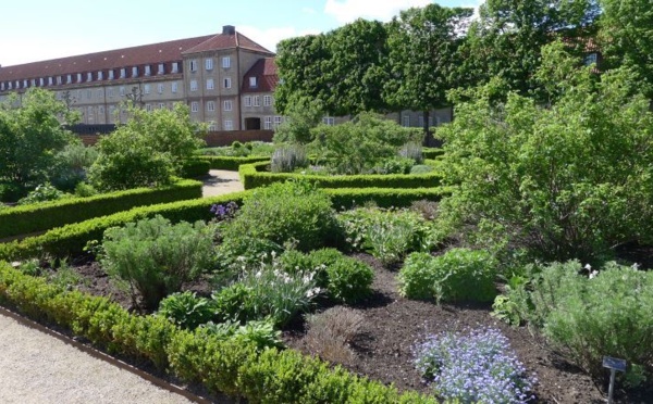 IMAGE DU JOUR: Les aventures de Léon Camay - 19