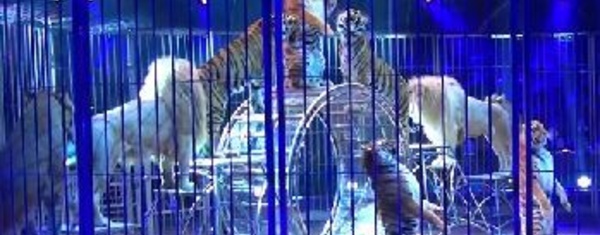 38e Festival International du Cirque de Monte-Carlo