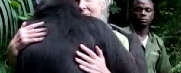 Actus à la une du 23 janvier 2014