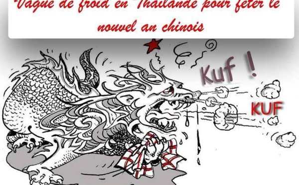 DESSIN DE PRESSE: Vague de froid en Thaïlande