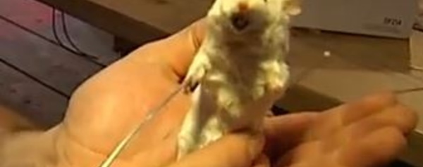 Actus à la une du 27 janvier 2014