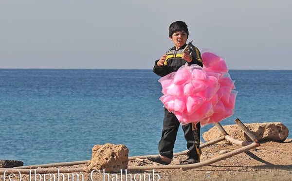 IMAGE DU JOUR – Sucre de la vie