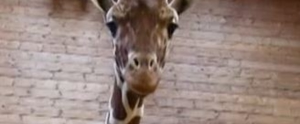 Actus à la une du 10 février 2014