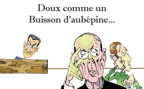 DESSIN DE PRESSE: L'affaire Sarkoleaks