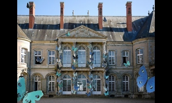 Exposition L'envolée de Joy Rohan Chabot