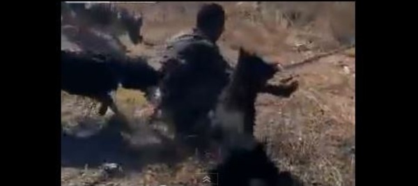 Papouasie-Nouvelle-Guinée: Vidéo choquante d'un homme attaqué par des chiens policiers