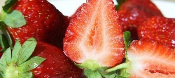 Les aliments élixirs de jeunesse