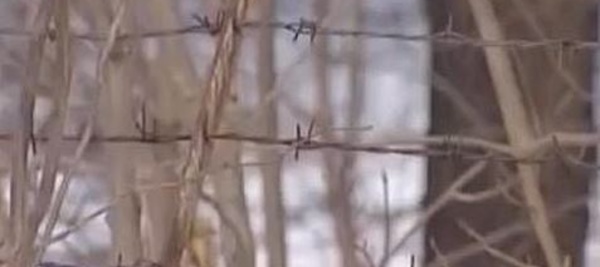 Finlande: Les résultats de l'enquête sur la CIA