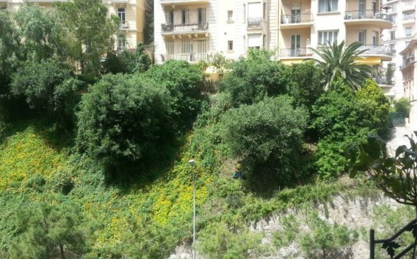 IMAGE DU JOUR: Les aventures de Léon Camay - 37