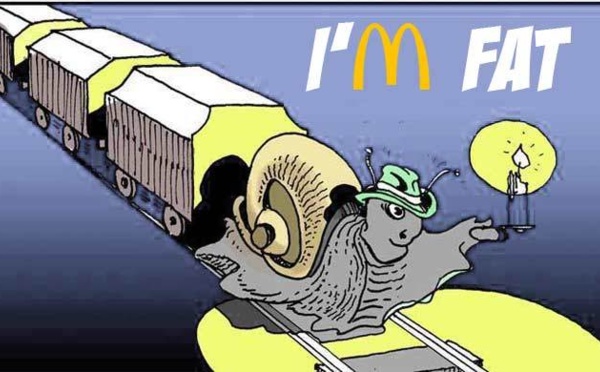 DESSIN DE PRESSE: Affaire des TER trop larges