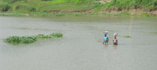 Perturbations climatiques à Adjohoun: Quand la terre ne nourrit plus son homme