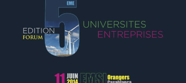 Les énergies renouvelables: Défis de l'intégration et des projets collaboratifs d'innovation