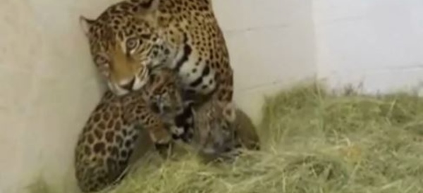 Actus à la une du 30 mai 2014