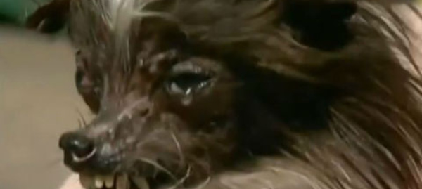 Les actualités du 23 juin 2014 en vidéo