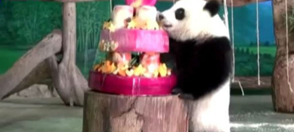 Les actualités du 7 juillet 2014 en vidéo