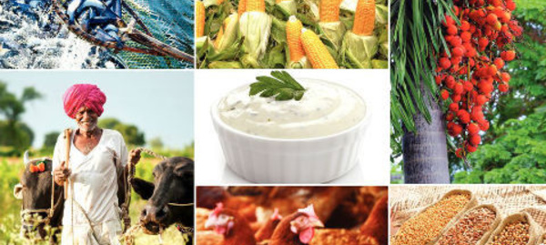 L'avenir des produits agricoles