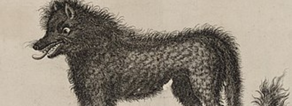 Ouverture du musée du Gévaudan