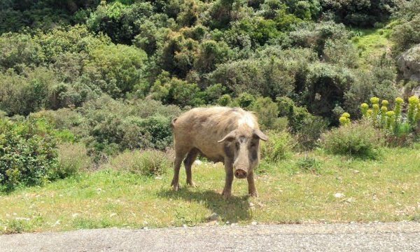 IMAGE DU JOUR: Les aventures de Léon Camay - 46