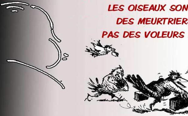 DESSIN DE PRESSE: La pie n'est pas voleuse