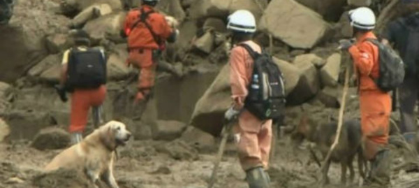 Les actualités du 21 août 2014 en vidéo