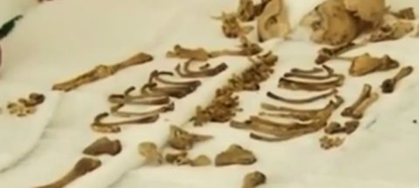 Les actualités du 25 août 2014 en vidéo