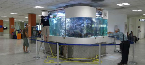 Rendez-vous à l'aéroport, devant l'aquarium!