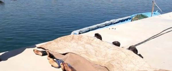 Les naufrages de bateaux de migrants en Méditerranée