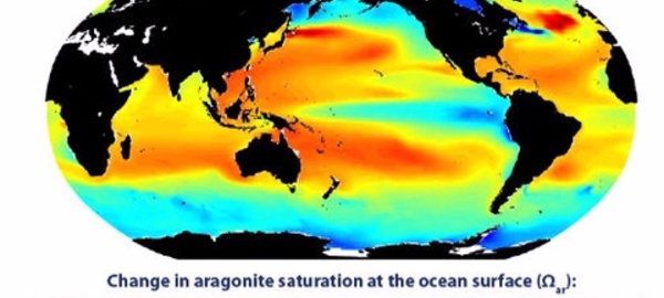 L'acidification des océans menace l'économie mondiale