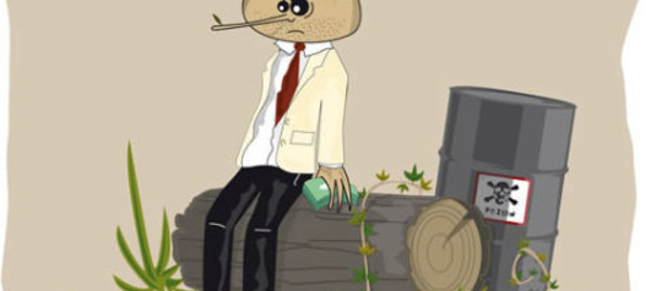 Prix Pinocchio 2014, le vote public est ouvert