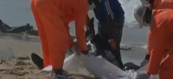 Des migrants morts en Méditerranée