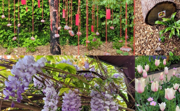 Quand l'art et la nature se rencontrent : Le Festival International des Jardins de Chaumont-sur-Loire