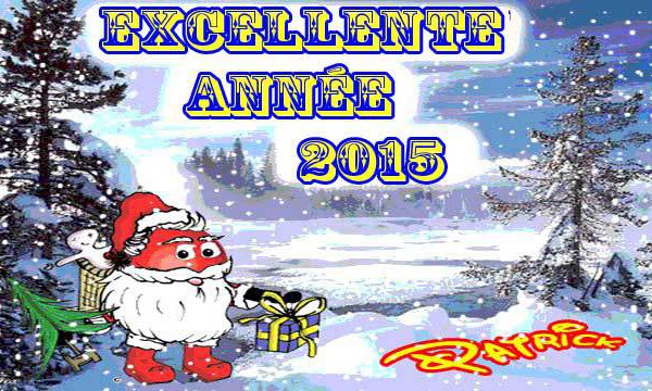 Bonne année 2015