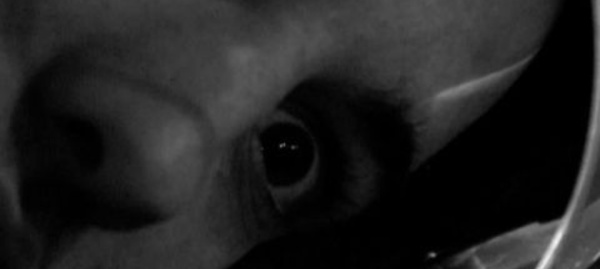 Morts à cause de la drogue: choisissez de vivre sans elle!