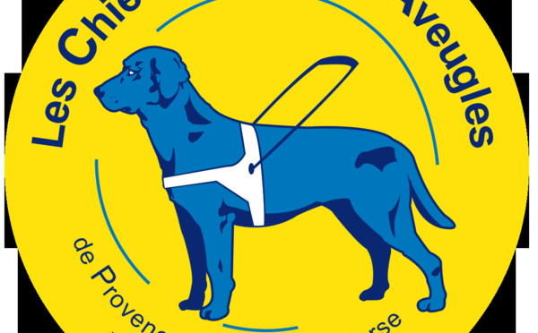 Des roses pour une bonne cause