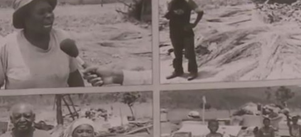 Zimbabwe: Interdiction des expulsions forcées