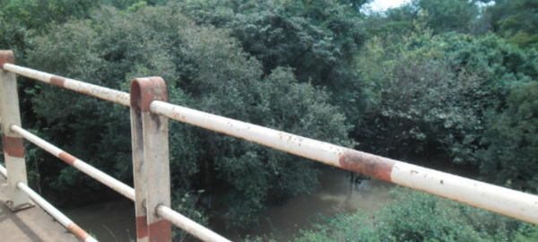 Bassin de la Mékrou: Une ressource qui se meurt