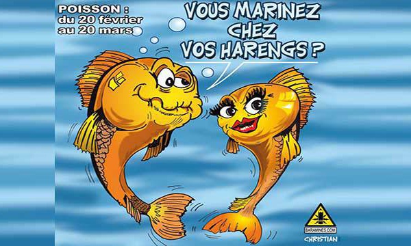 Une année bisextile, pas bisexuelle