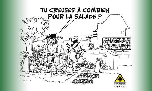 Temps printanier mais oseille calamiteuse