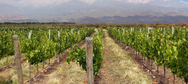 AUDIOGUIDE: Argentine - 1