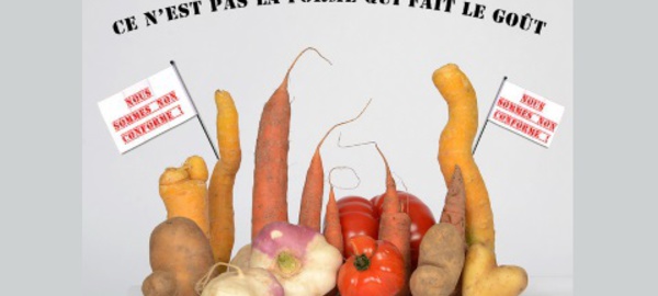 Le gaspillage alimentaire: le nouveau luxe de notre époque