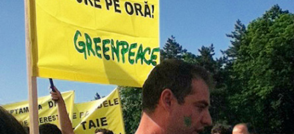 Une lutte commune pour les forêts vierges