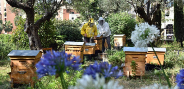 Actus de Monaco juillet 2015 - 1