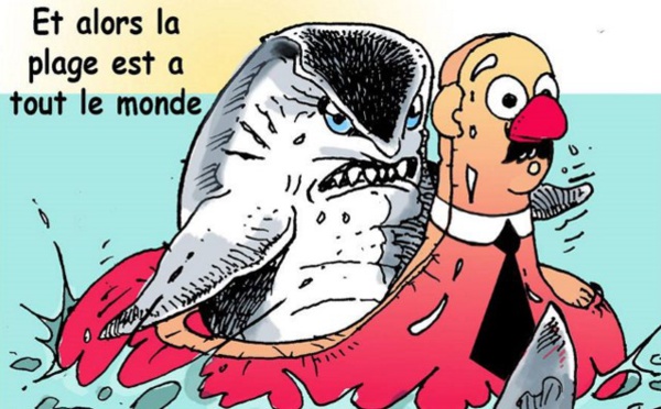 Doit-on interdire la plage aux requins?