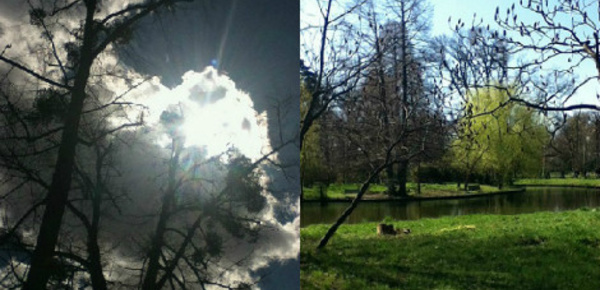 Volontariat au Jardin Botanique de Bucarest