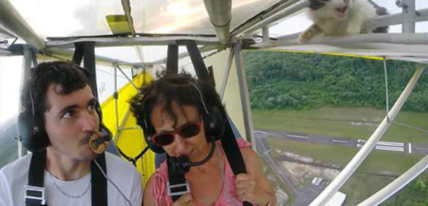 Le buzz vidéo du moment: Baptême de l'air d'un chat en ULM