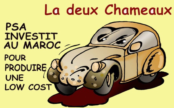 Deux chameaux ou 2 CV 