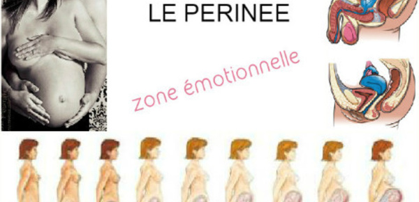Le périnée, zone émotionnelle à haut potentiel