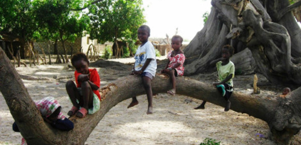 Vie associative: 10.000 moustiquaires pour Diouroup 