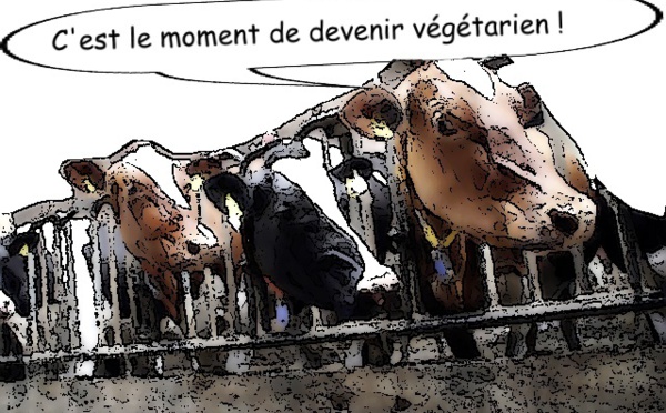 Les éléveurs français en colère